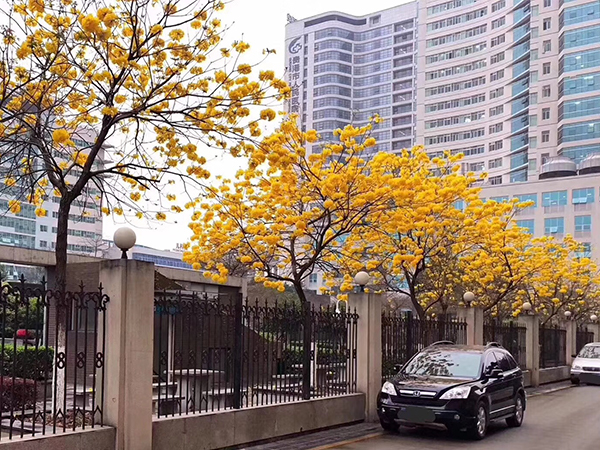 贵港市人民医院做试管挺好的