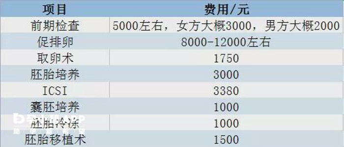 医院试管价目表