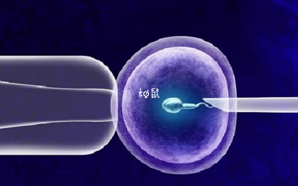 开封医学研究所医院不能做试管