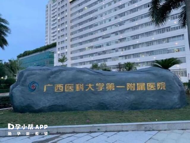 广西医科大学一附院可开展试管一代