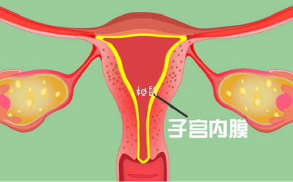 人工周期内膜转化后不会变薄