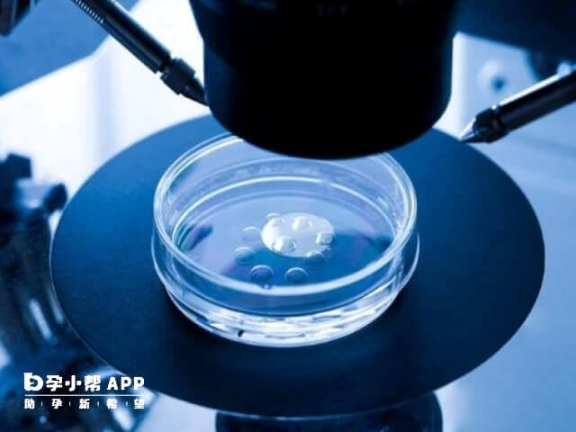 胚胎解冻人工周期移植需1到2个月完成