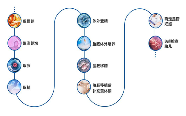 超长方案全程需要2到3个月